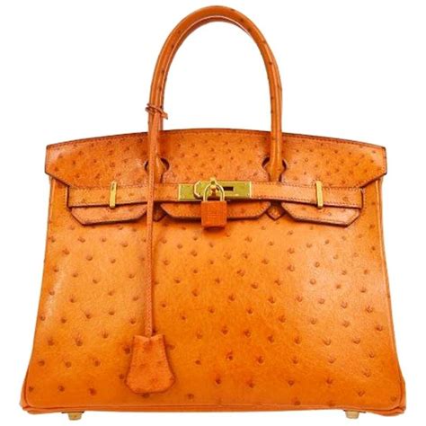 exotic birkin bag